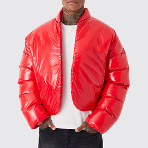 Winter Custom Men's Bomber <b>Jacket</b> Hooded Reversible Stand <b>Collar</b> High Street Style Warm Lightweight Outdoor 100% Puffer <b>Jacket</b> - Product Image 2