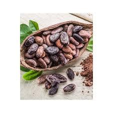 Dried Raw <b>Cacao</b> <b>Beans</b> Fully Fermented for Cocoa Powder and Cocoa Butter - Product Image 2