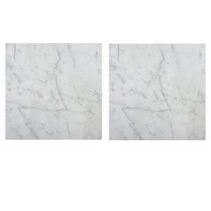 Mármol Blanco de Carrara, Última Colección, Decoración para el Hogar y Hoteles, Azulejos y Losas Personalizadas de Turquía - Product Image 5