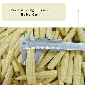 Maíz bebé congelado IQF vietnamita de alta calidad para exportación - Product Image 4