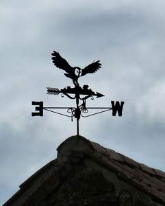 Veleta de hierro de temática rústica con una forma de animal llamativa para enriquecer casas rurales y jardines de estilo vintage - Product Image 4