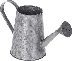 Élégance rustiqueL'arrosoir en métal pour votre jardin Nourrir la nature L'arrosoir en métal classique - Product Image 3