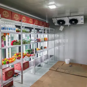 Congélateur à pied chambre froide prix entrepôt frigorifique pour fruits et légumes congélateur chambre froide