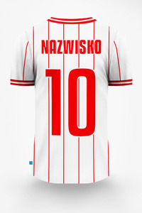 Camiseta de Fútbol, Uniforme de Fútbol Personalizado con Nombre de Equipo, Secado Rápido, Transpirable, Nailon/Algodón, Cuello Redondo, Manga Corta, Primavera Verano - Product Image 2