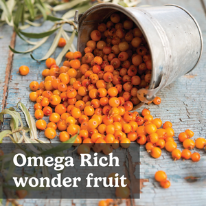 Cápsulas de Espino Amarillo del Himalaya 500mg, Extracto Natural de Bayas de Espino Amarillo para el Apoyo Inmunológico, la Salud Digestiva y Cardíaca - Product Image 5