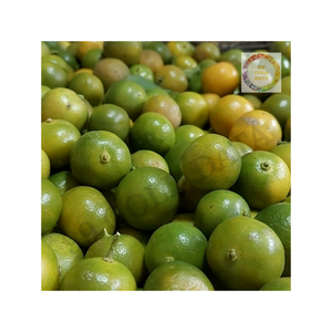 Calamansi congelés du Vietnam Hotsale Produit en vrac Convient aux exportateurs et aux distributeurs mondiaux - Product Image 6