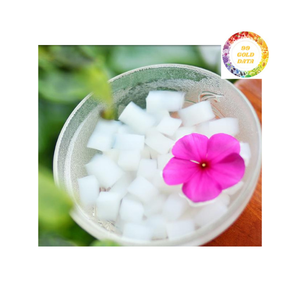 Ingrédient de dessert Nata De Coco garniture de jus de fruits directement de l'usine pour la fabrication d'aliments boissons pouding - Product Image 5