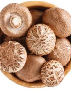 CHAMPIGNONS SHIITAKE SÉCHÉS POUR LA TRANSFORMATION ALIMENTAIRE - Product Image 2