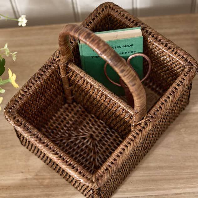 สีน้ำตาล