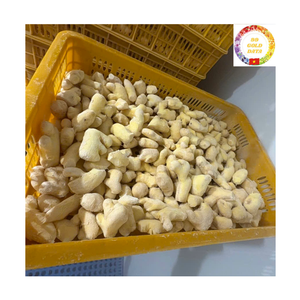 IQF Organic <b>Frozen</b> Fresh Ginger Peeled Whole Supplied from Vietnam Factory Premium Spice Ingredient For Export Users - Product Image 4