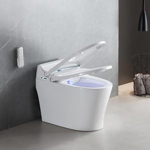 Распродажа, керамический унитаз - Product Image 2