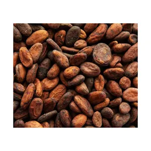 Fèves de cacao biologiques-fèves de cacao séchées en gros de qualité supérieure