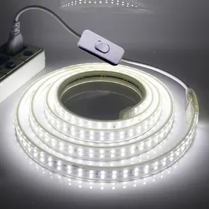 Panneaux de magasin LED en forme de S bande lumineuse pliable 12V 24V 5M rétro-éclairé pour l'affichage des lettres de canal 3D remplacer le Module LED