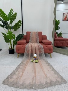 Saree de créateur en soie organza lourde avec fil et paillettes Travail 9000 Chemisier en velours | Vêtements de mariage indiens de luxe - Product Image 5