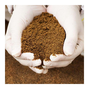 For Sell High Protein Fish Meal 65% Powder Animal Feed Grade | Wholesale Dried Fishmeal Supplier | Best Quality Factory Price - Product Image 2