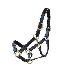 Dos de cheval en cuir avec muserolle doux cou rembourré matériel en alliage durable ajustement d'équitation confortable - Product Image 1