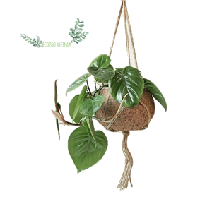 Support de plante de pot de coquille de noix de coco/pots de plante de coquille de noix de coco avec le prix bon marché et 100% matériel de haute qualité d'Eco2go Vietnam - Product Image 6