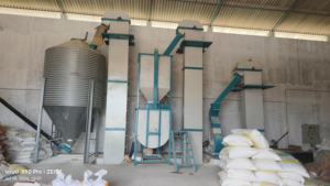 Global Namdhari Engineers Usine de purée automatique en fer triphasé de grande capacité Écrasement commercial pour animaux et volailles - Product Image 2