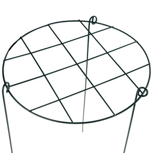 Flower <b>Plant</b> Nursery with Iron <b>Frame</b> Overgrown with Mesh - Product Image 3