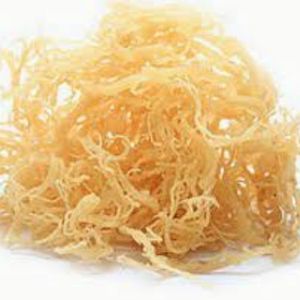 Empaquetado al por mayor de musgo irlandés seco OEM - Product Image 1