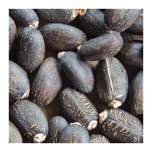 เมล็ด jatropha สำหรับหวายและไม้ไผ่ผลไม้แห้งสำหรับหวายสาน - Product Image 3