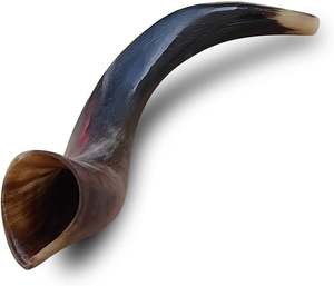 ROYAL NATURAL CRAFT Ensemble de Shofar Kudu poli casher, en corne de bovin, style imitation antique, décoration de mariage européenne, cadeau - Product Image 3