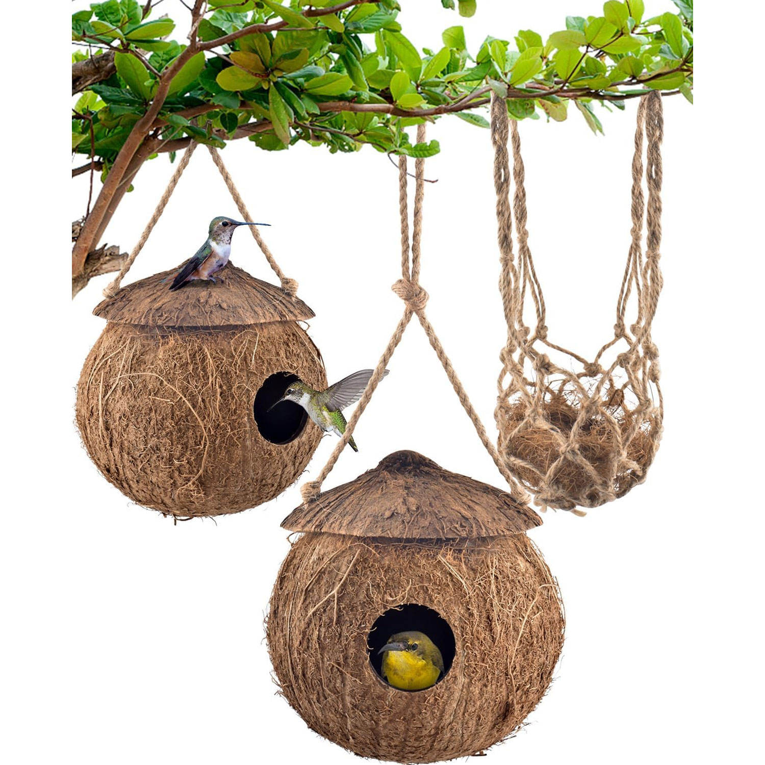 ไม้ธรรมชาติ