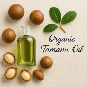 ACEITE DE TAMANU DE EXPORTACIÓN SUPERIOR | PROVEEDOR DE ACEITE NATURAL PARA EL CUIDADO DE LA PIEL DE VIETNAM - Product Image 3