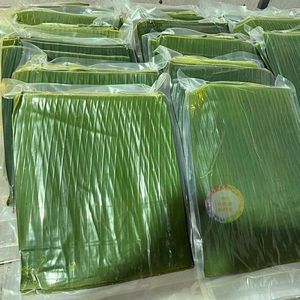 Feuille de bananier congelée feuille tropicale fraîche conservée pour la cuisson à la vapeur et la décoration de restaurant du Vietnam - Product Image 2