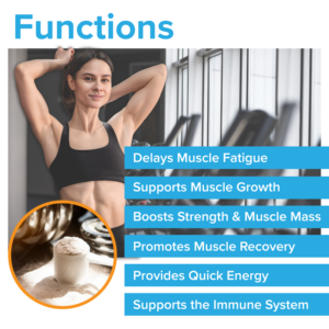 ผงสมุนไพร Creatine MCT น้ำมันกลูตามีนไดอะมิโนสำหรับนักกีฬาผู้ใหญ่สารอาหารทางกีฬาสั่งทำ - Product Image 3