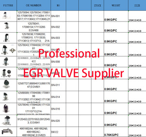 Nueva Válvula EGR para Isuzu D-Max Dmax 2007-2012 3.0DiTD Motor 4JJ1 8-98013911-1 - Product Image 6