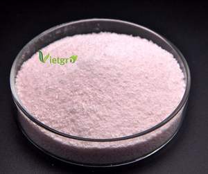 Magnesio quelatado EDTA al mejor precio-oligoelemento-Vietgro Vietnam - Product Image 1