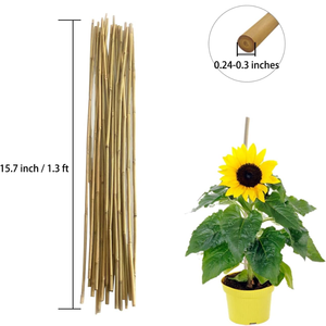 Estaca de bambú Natural y Flexible, caña de bambú, poste de bambú con alta calidad para construcción, agricultura, superventas - Product Image 2