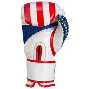 Gants de boxe de qualité supérieure en mousse et à maintien sécurisé du poignet, avec un design léger et un soutien absorbant les chocs - Product Image 2