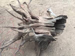 Aquarium <b>Driftwood</b> <b>Sale</b> - Product Image 3