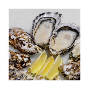 Ostras Kaki Frescas de Granja de Alta Calidad con Concha, Precio Bajo, Paquete a Granel de 25 kg, Almacenamiento Congelado - Product Image 1