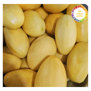 Mango Vietnamita Congelado en Rodajas con Conservación en Agua en Envases a Granel para Fabricantes de Alimentos y Productores de Bebidas en Todo el Mundo - Product Image 3