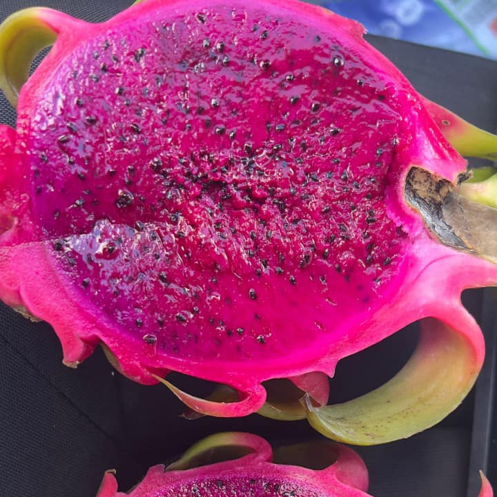 Red A Grade Dragon Fruits Lieferanten hersteller Dragon Fruit Red Flesh Live Bio Frisches Fleisch Dragon Fruit