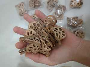 Raíz de loto seco de calidad premium de proveedores de Vietnam a precio asequible exportación a granel - Product Image 6