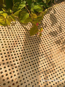 Rollo de cincha cuadrada de caña de ratán Natural ligero a precio especial 15,5 "18" 20 "24" 27,5 "31,5" 36 "39,5" tejido a mano ecológico Bao - Product Image 4