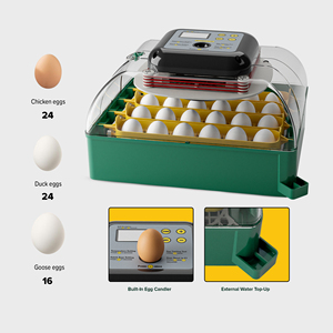 Compact EU <strong>PROFI</strong> C-24 Egg Incubator with Automatic Turning and Digital Display - Product Image 4