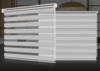 Vente flash : Stores enrouleurs modernes à motif zèbre pour le contrôle de la lumière, rideaux jour et nuit, stores de fenêtre personnalisables, provenant d'un fabricant turc
