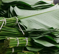 Feuille de Dong pour l'emballage des gâteaux et la décoration des aliments pour les aliments Remplacer par un sac en plastique Fournisseur biodégradable Écologique
