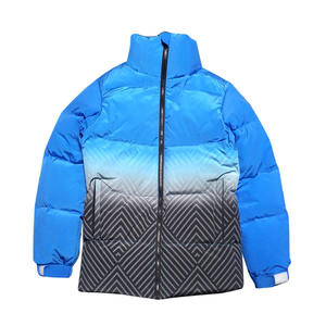 Chaqueta de invierno acolchada ligera para hombre al aire libre directa de fábrica, chaqueta acolchada con cuello levantado y cremallera, chaqueta de diseñador para hombre - Product Image 1
