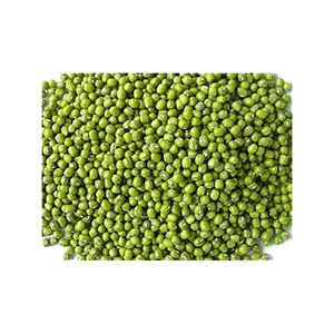 2024 Nieuwe Oogst Mung Bean Zaad Mooie Prijs Groene Mung Bonen Vigna Bonen In 25 Kg Pp Zakken Voor Menselijke Consumptie