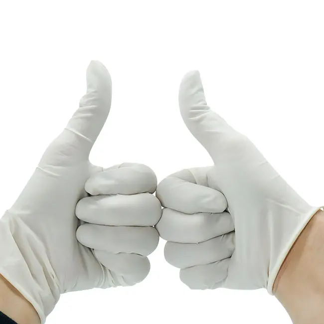 Exam Gloves - Medical Disposable Latex Powder Free Gloves - Powder Free Glove 240mm from Malaysia