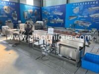 RVS 304 wortelgroentewaslijn borstelwasmachine