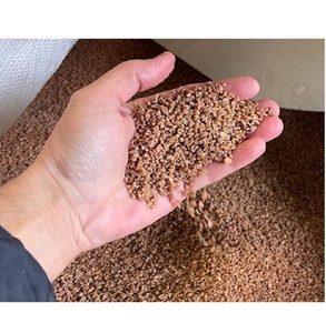 Semillas de Oliva a Granel, Proveedor de Semillas de Oliva Naturales para Extracción de Aceite, Combustible de Biomasa y Aplicaciones Industriales - Product Image 5