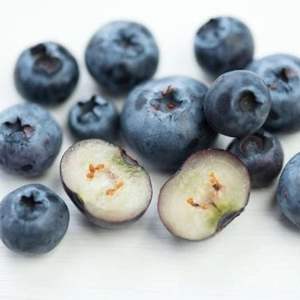 Myrtilles Fraîches de Qualité Supérieure pour l'Exportation, Variété Highbush Classe I, en Vrac - Product Image 1