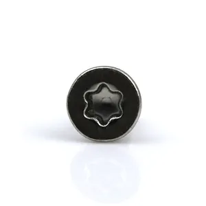 Tùy chỉnh <span class=keywords><strong>Mini</strong></span> Vít Torx đầu vít vật liệu thép không gỉ hình bầu dục đầu phong cách - Product Image 1